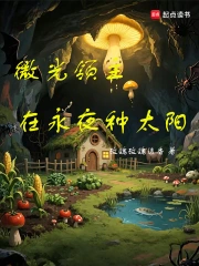 微光领主在永夜种太阳